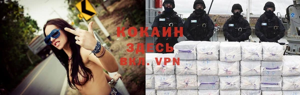 шишки Баксан