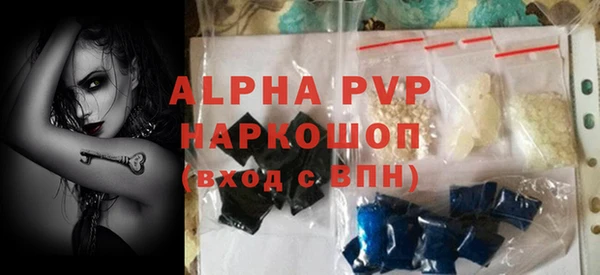 шишки Баксан
