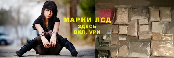 шишки Баксан