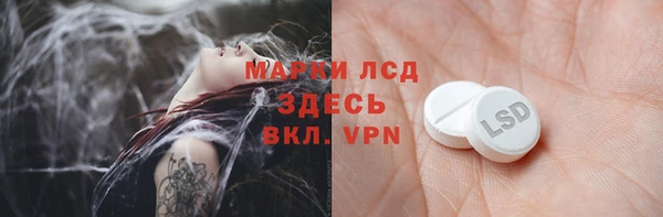 шишки Баксан