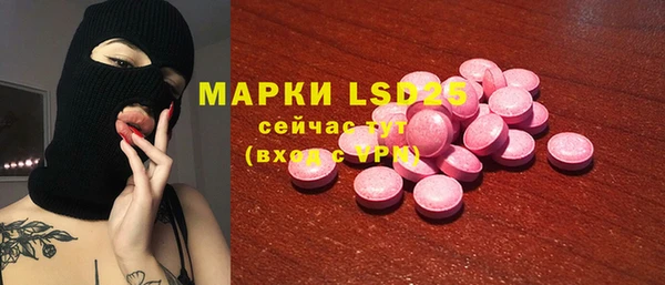 шишки Баксан